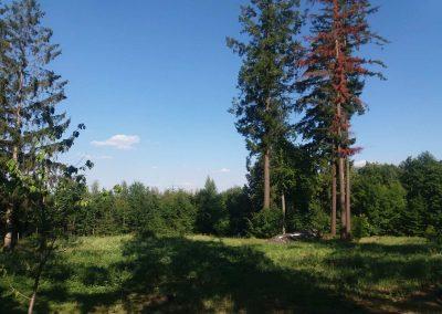 Areál lesní pedagogiky Doubravka v létě