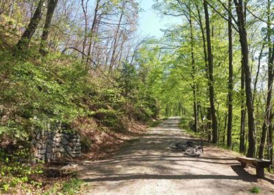 Bažantí studánka - pohled na lesní cestu Doubskou