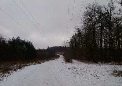 Cesta z Útěchova do Ořešína v zimě