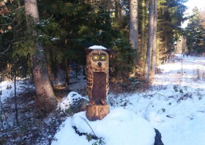 Detail sovy u začátku / konce lesní cesty Klepačovská u Klepačova v zimě