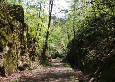 Gangloffova lesní cesta - jihovýchodní začátek / konec na jaře