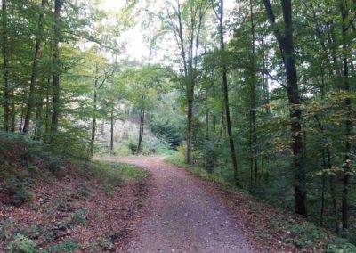 Gangloffova lesní cesta - lesní křižovatka cest - doleva vede Benešova cesta, rovně Gangloffova