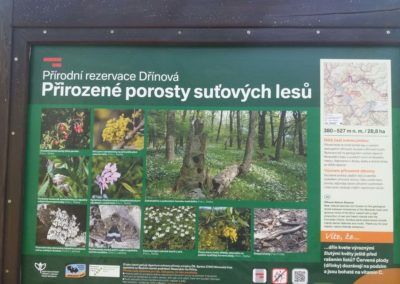 Informa panelo priskribanta la natur-rezervejon Dřínová