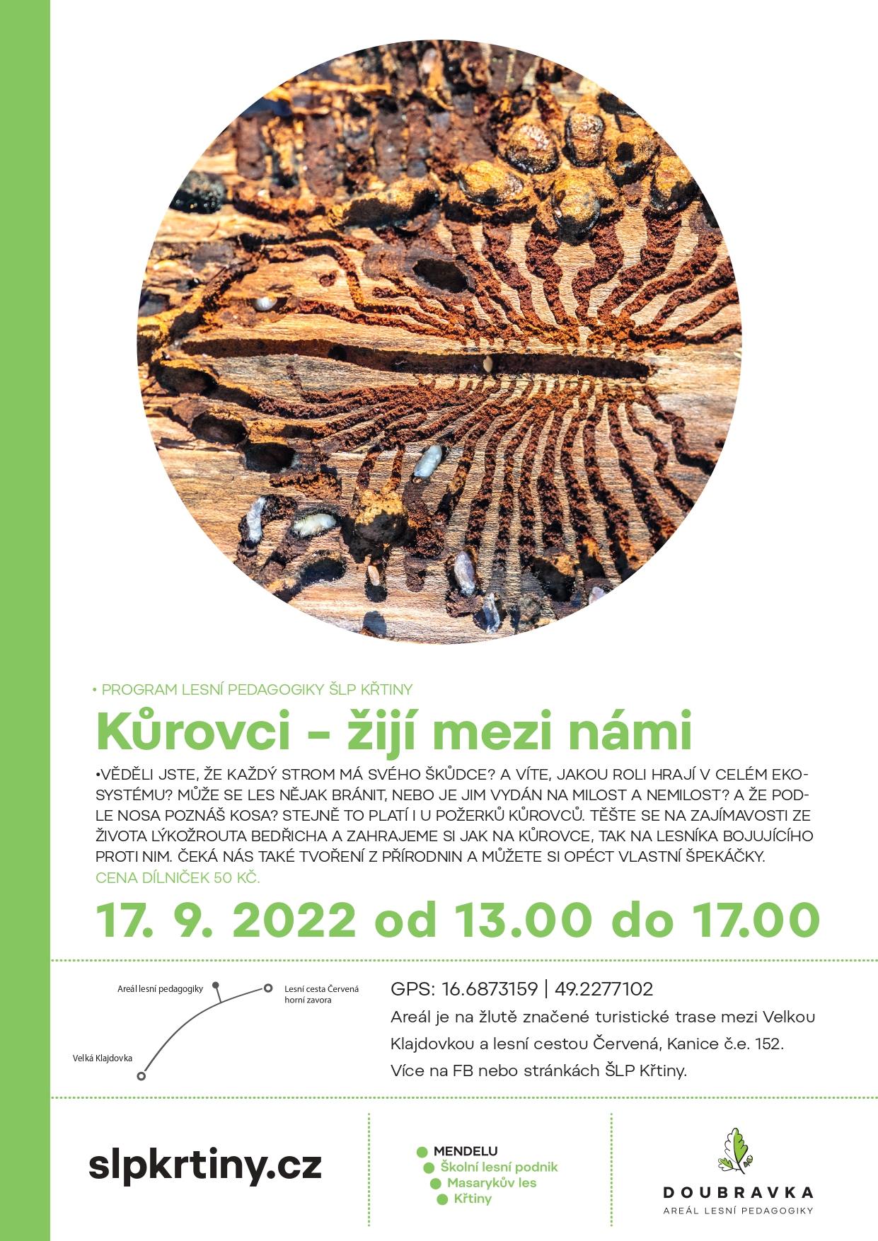 kurovci-v-arealu-lesni-pedagogiky-promo Býčí skála - autor Jiří Baisa, Creative Commons