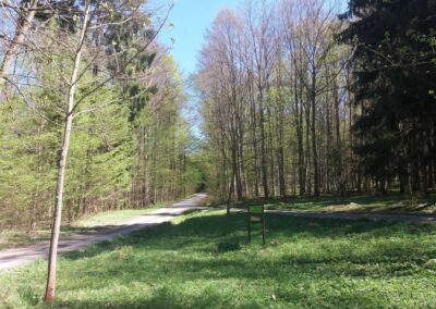 Lesní cesta Březinka - druhé označení cesty u silnice z Babic nad Svitavou do Křtin