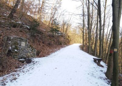 Lesní cesta Doubská - Bažantí studánka v zimě