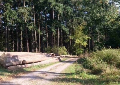 Lesní cesta Doubská - místo při začátku lesní cesty Travnatá