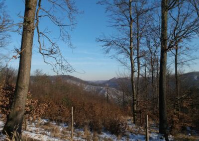 Lesní cesta Doubská - výhledy směrem Křtiny v zimě