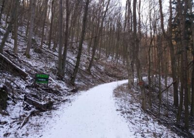 Lesní cesta Doubská - jižní začátek / konec v Josefovském údolí v zimě