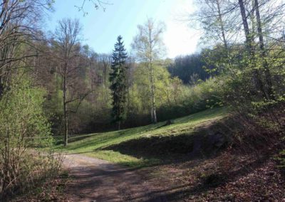 Lesní cesta Dřínová - Palouk nedaleko Slučí studánky