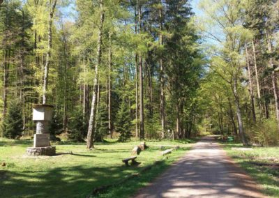 Lesní cesta Hradská - začátek u památníku