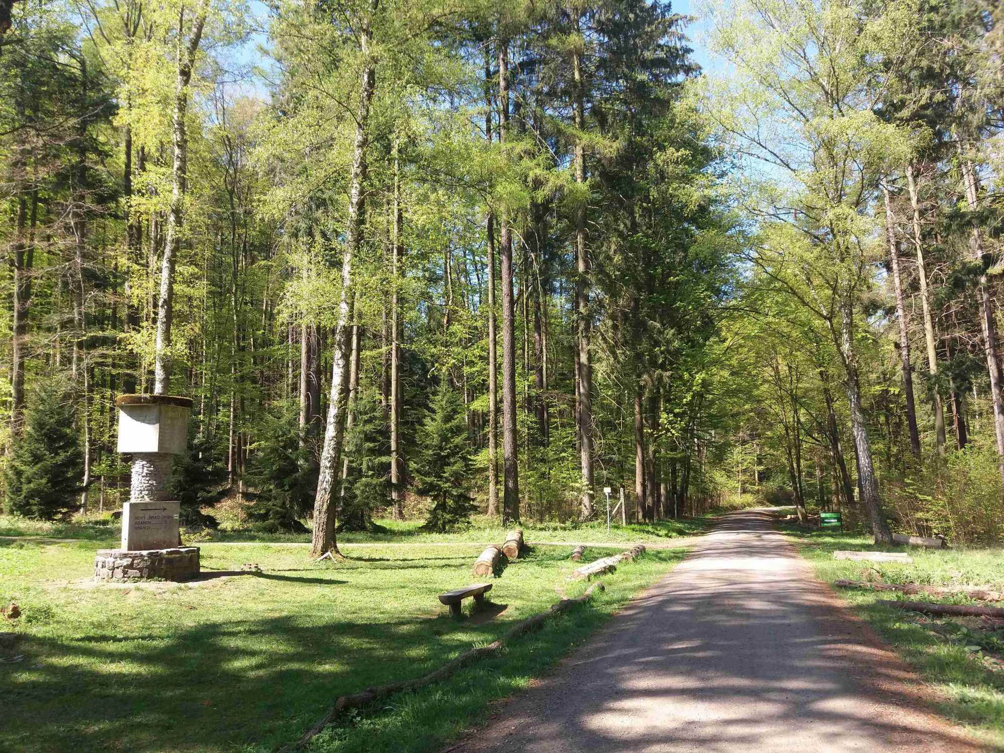 Lesní cesta Hradská - začátek u památníku