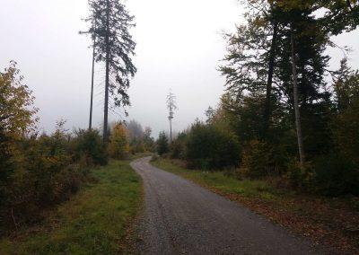 Lesní cesta K Hlinkovým dolům na podzim