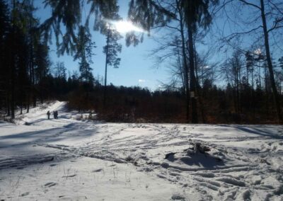 Lesní cesta Klepačovská - pohled na rozcestí Polom v zimě