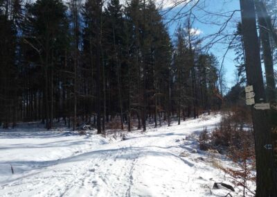 Lesní cesta Klepačovská - rozcestí Polom v zimě