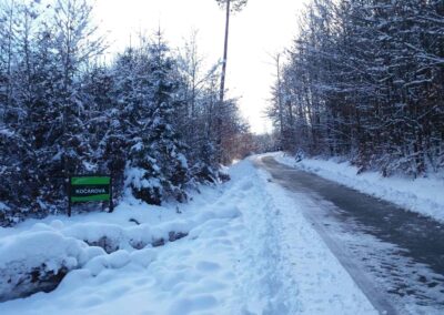 Lesní cesta Kočárová - začátek / konec ve Wiehlově údolí v zimě