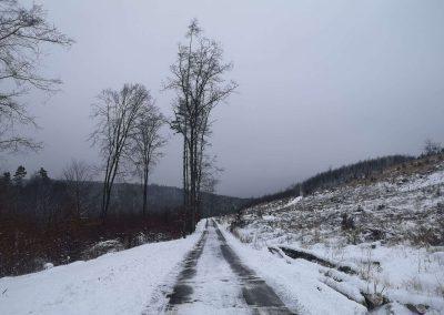 Lesní cesta Lámanka - začátek / konec při lesní cestě Šíbrnka v zimě