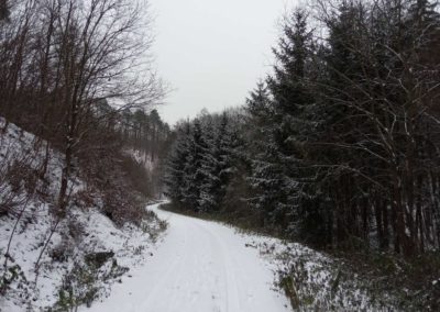 Lesní cesta Melatín v zimě