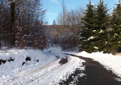 Lesní cesta Padouch v zimě