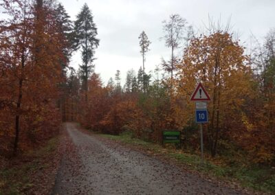 Arbara vojo Padouch - komenco / fino apud arbara vojo K Hlinkovým dolům