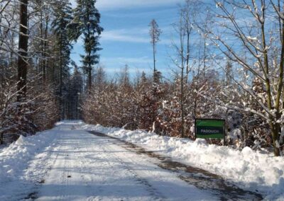 Lesní cesta Padouch - začátek / konec u lesní cesty K Hlinkovým dolům v zimě