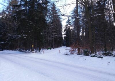 Lesní cesta Pokojná - pohled od silnice na začátek / konec při silnici Olomučany - Rudice v zimě
