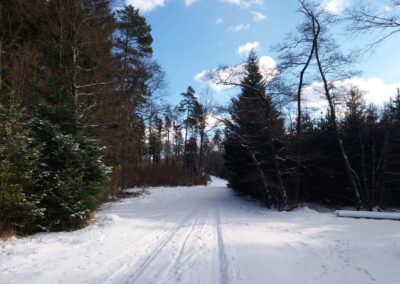 Arbara vojo Pokojná en vintro