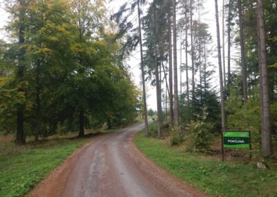 Lesní cesta Pokojná - začátek / konec na křižovatce s lesní cestou K Hlinkovým dolům