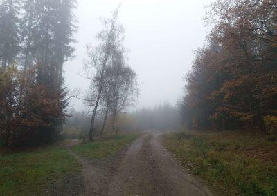 Lesní cesta Poutnická - odbočení trailu č. 1