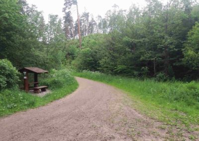 Lesní cesta Rakovec - přístřešek