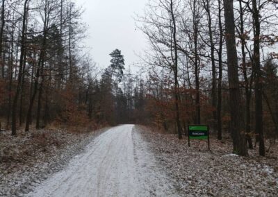 Lesní cesta Rakovec - severní začátek / konec v zimě