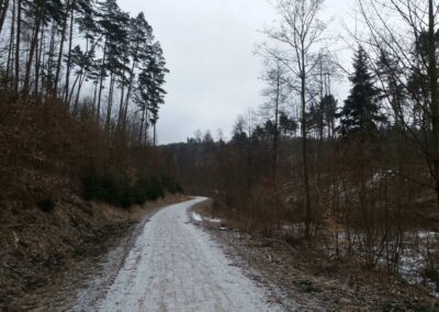 Lesní cesta Rakovec v zimě