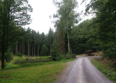 Lesní cesta Schindlerova - celkový pohled na retenční nádrž a odpočívadlo