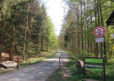 Lesní cesta Schindlerova - začátek / konec u křtinského arboreta