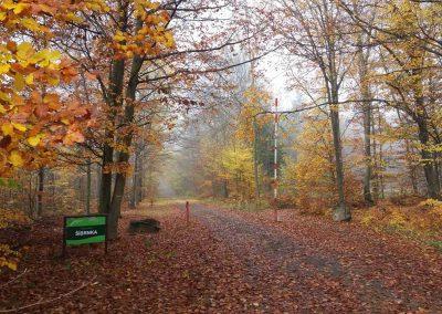 Lesní cesta Šíbrnka - začátek / konec nedaleko Bukovinky na podzim