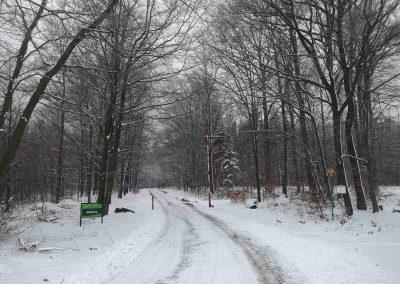 Lesní cesta Šíbrnka - začátek / konec nedaleko Bukovinky v zimě