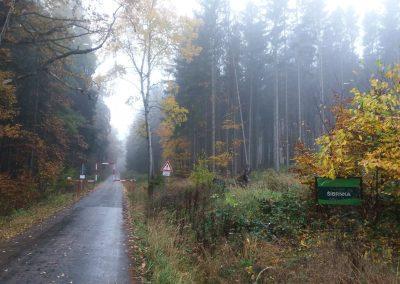 Lesní cesta Šíbrnka - začátek / konec v Rakoveckém údolí v Jedovnicích na podzim