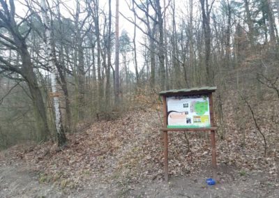 Lesní cesta Soběšická a panel naučné stezky Po stopách sýkorky