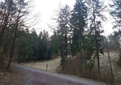 Lesní cesta Soběšická - palouk v zimě bez sněhu