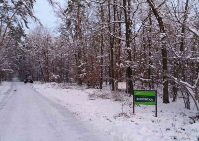 Lesní cesta Soběšická - začátek / konec u Soběšic v zimě