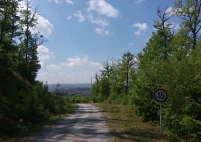 Lesní cesta Šumbera - první výhled na Brno a značka omezující rychlost