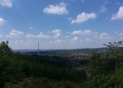 Lesní cesta Šumbera - výhled na Obřany, Maloměřický komín a Lesnou