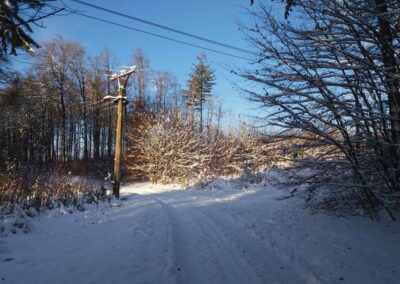 Lesní cesta Šutrovaná v zimě