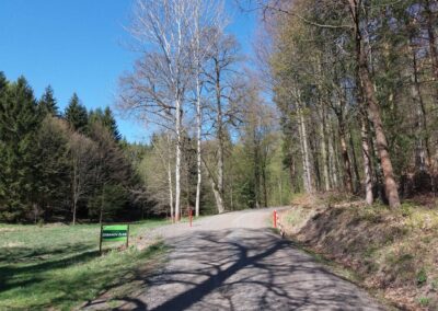 Lesní cesta Zemanův žleb - východní začátek / konec u silnice