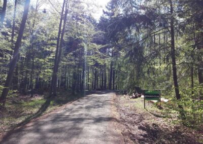 Lesní cesta Zemanův žleb - západní začátek / konec na jaře