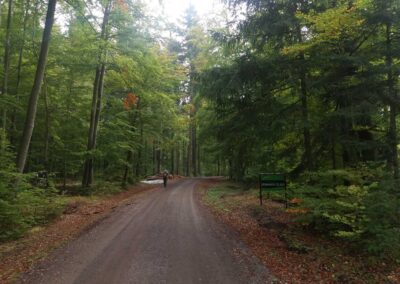 Lesní cesta Zemanův žleb - západní začátek / konec na podzim