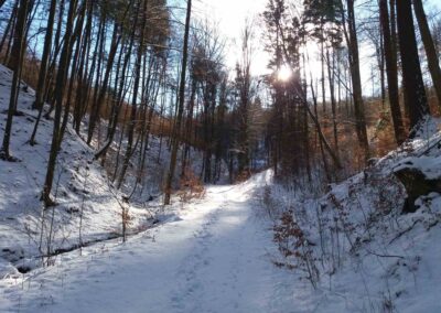 Lesní cesta Zrcadlová - odbočka doprava směr lesní cesta Klepačovská v zimě