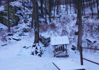 Lesní cesta Zrcadlová - posezení kousek od křížku u Márovek v zimě