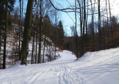 Lesní cesta Zrcadlová - svatý obrázek (v mapě bod 5) v zimě