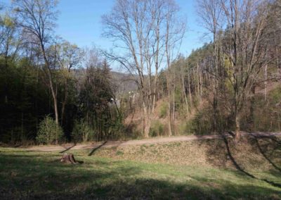 Lesní cesta Dřínová - Nad paloukem nedaleko Slučí studánky